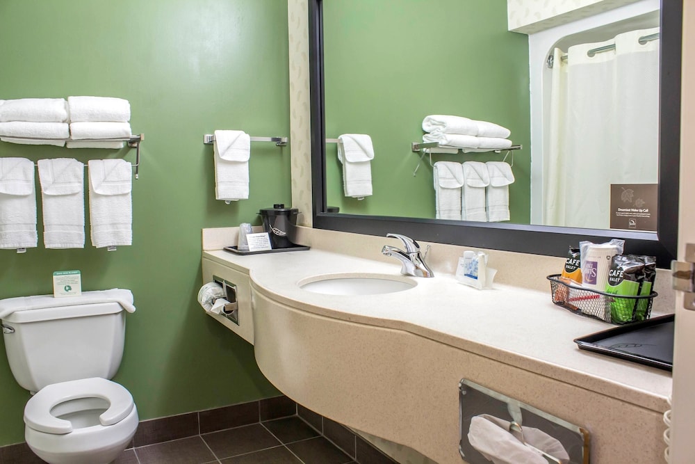 Sleep Inn & Suites Charles City 13/54