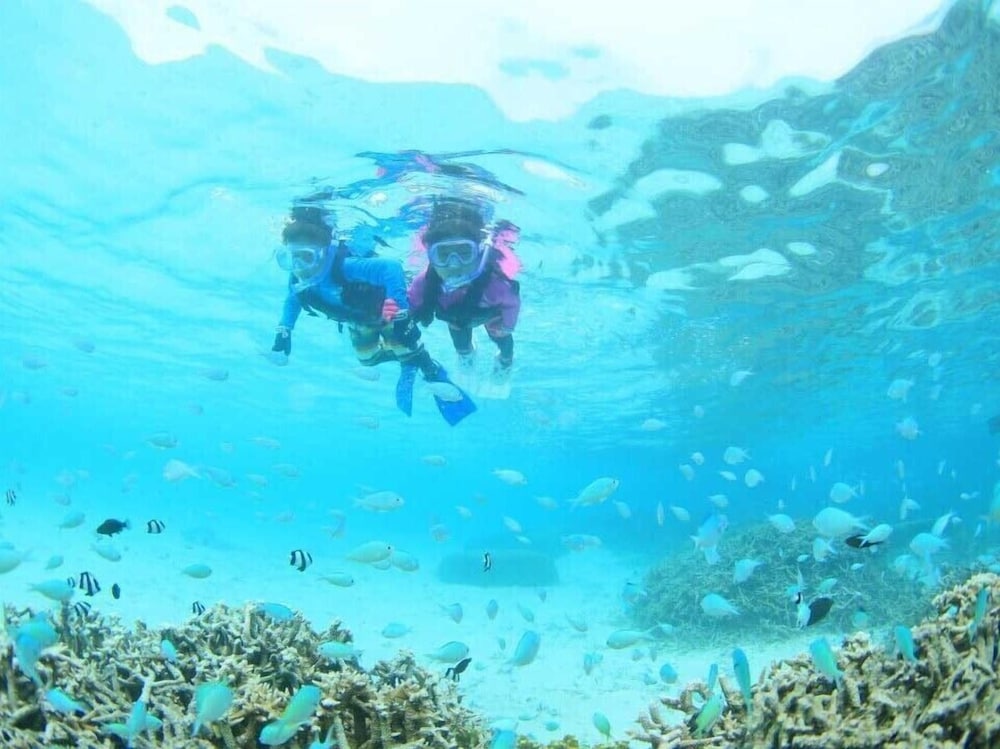 Painushima Resort Coral Fish 28/35