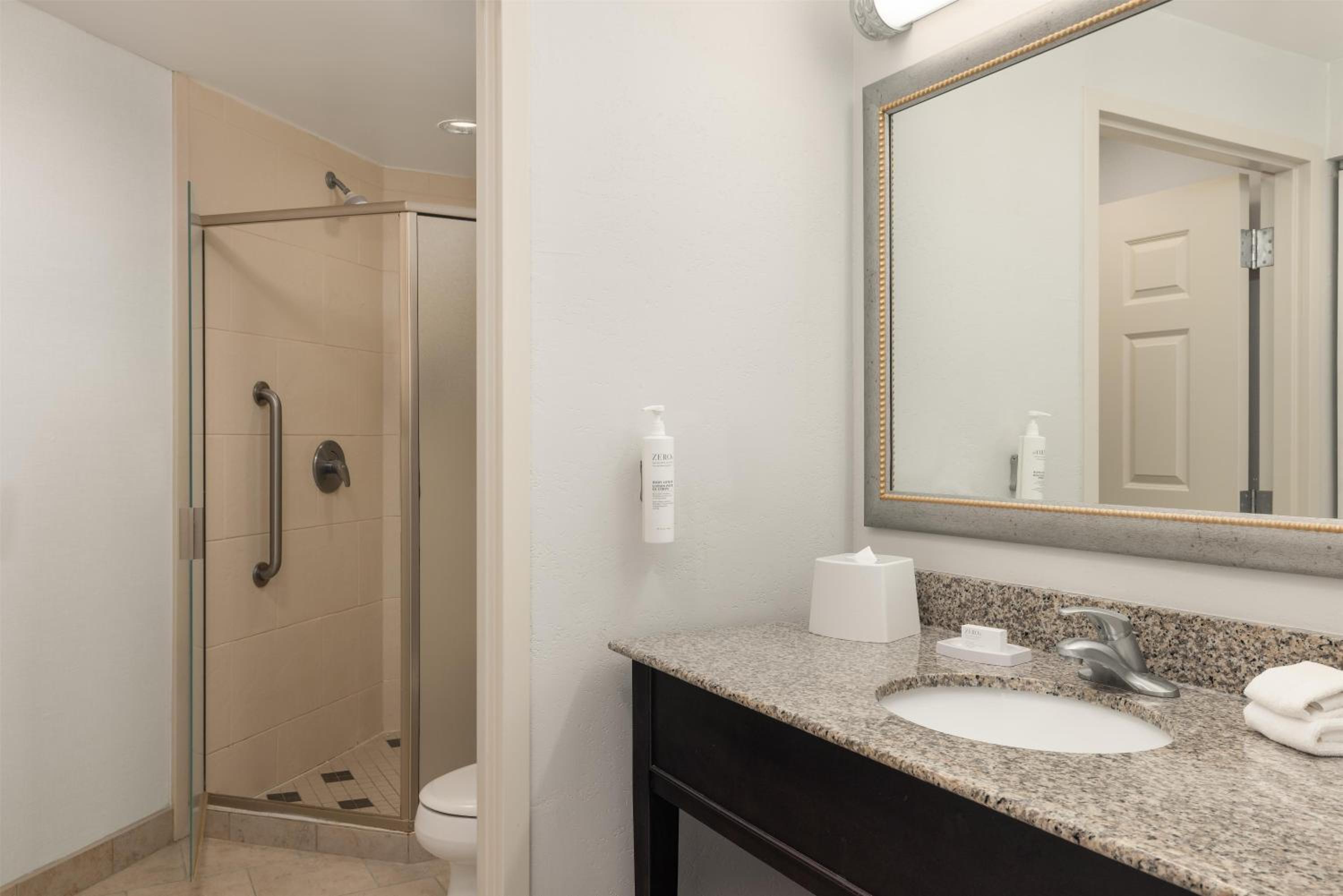 Room, King Bed, Sofa, Corner, Hampton Inn And Suites Baton Rouge Downtown 2/4