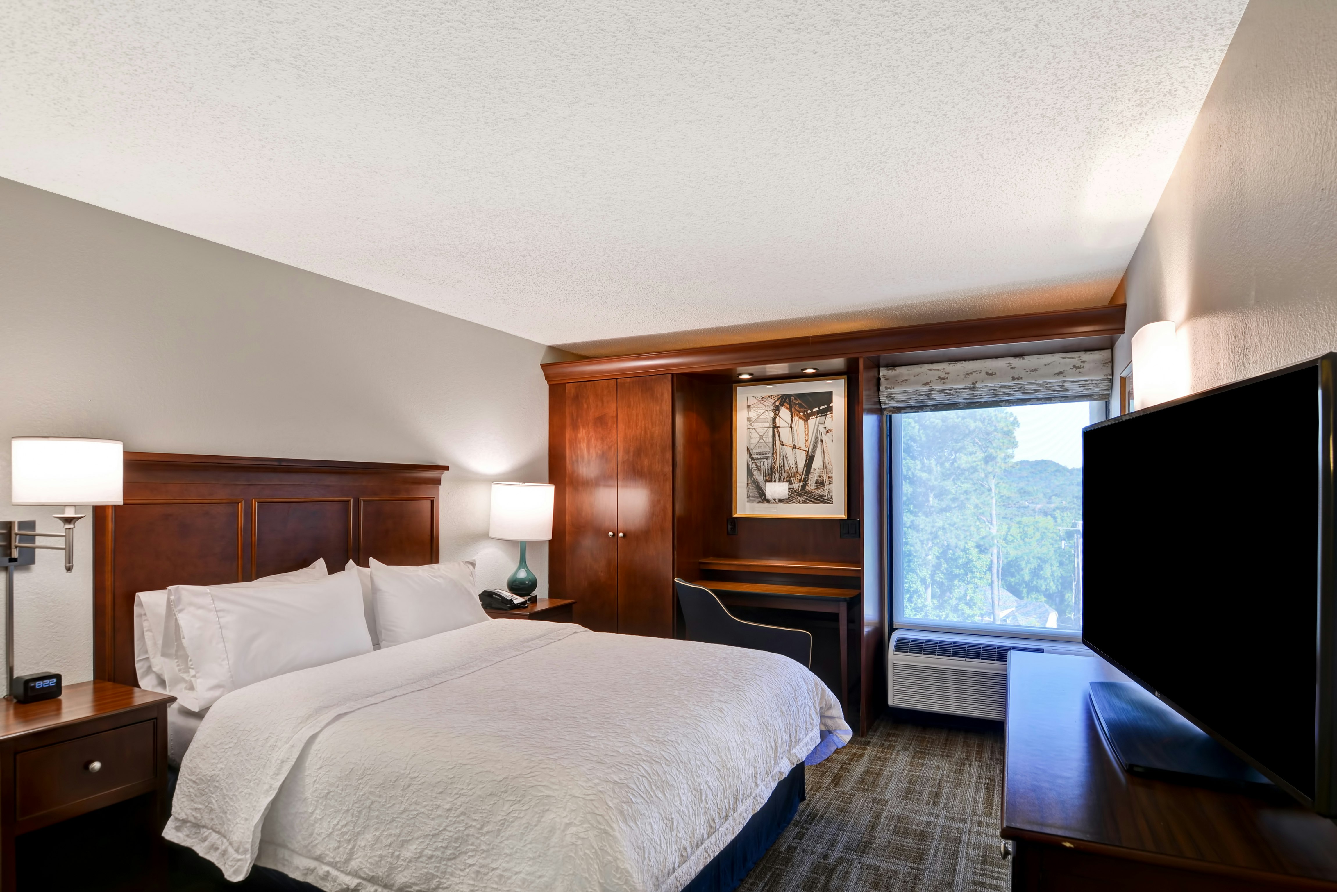 ROOM, QUEEN BED, ACCESSIBLE