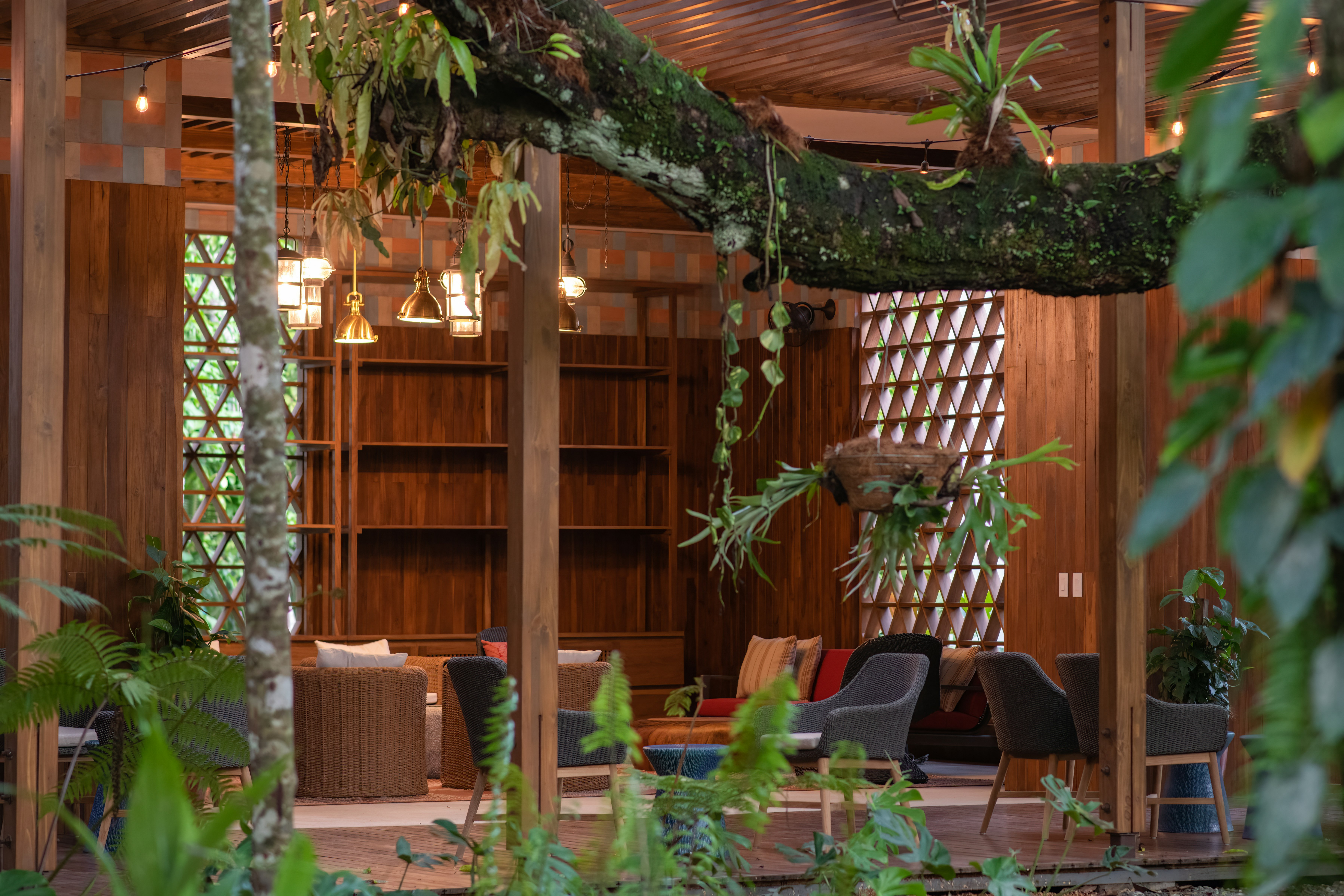Botanika Osa Peninsula, Curio Collection by Hilton 3/73