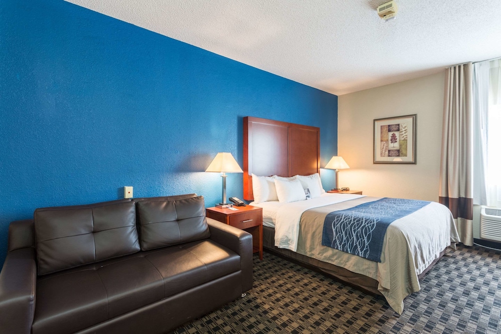 Comfort Inn Decatur Priceville 18/49