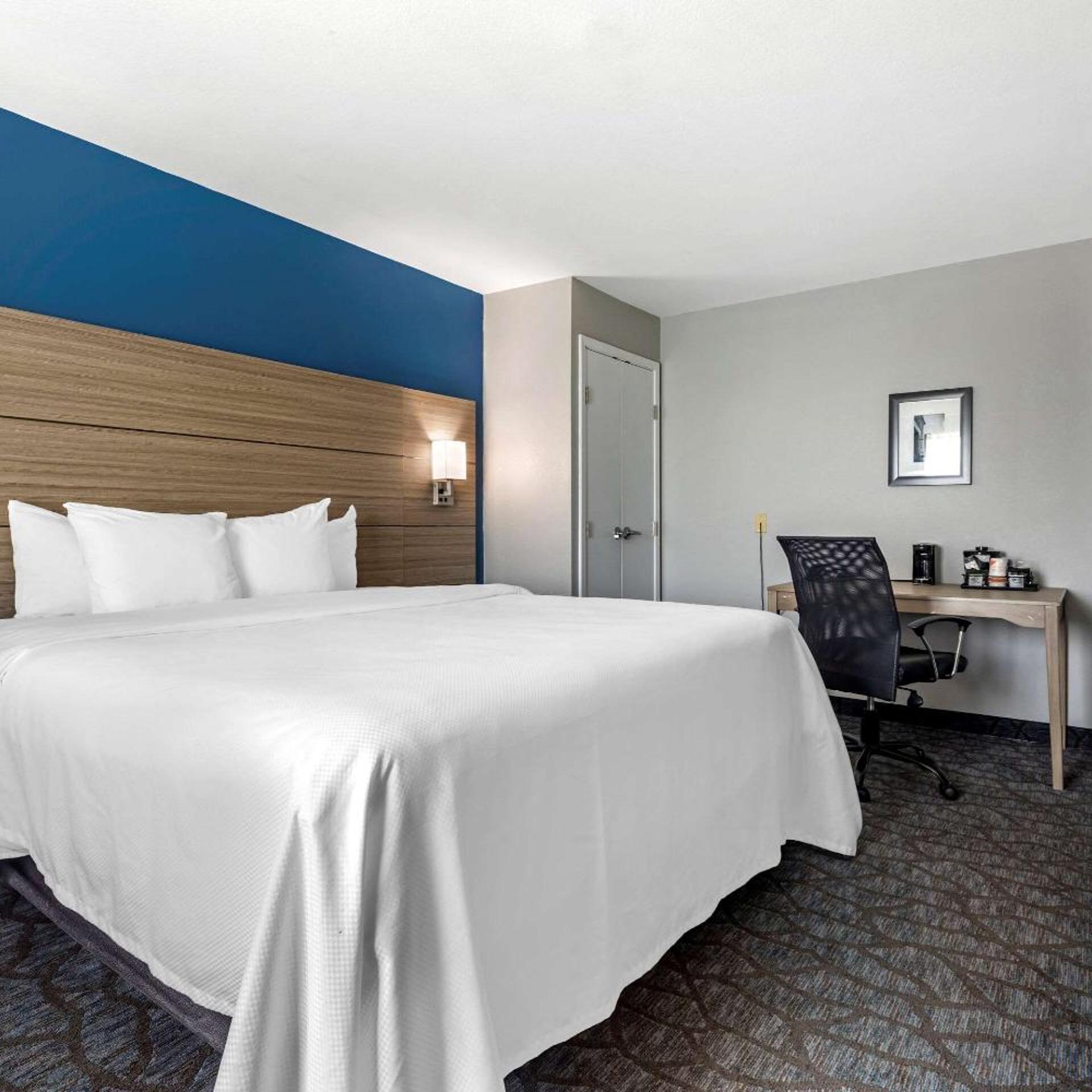 Suite, King Bed, Accessible