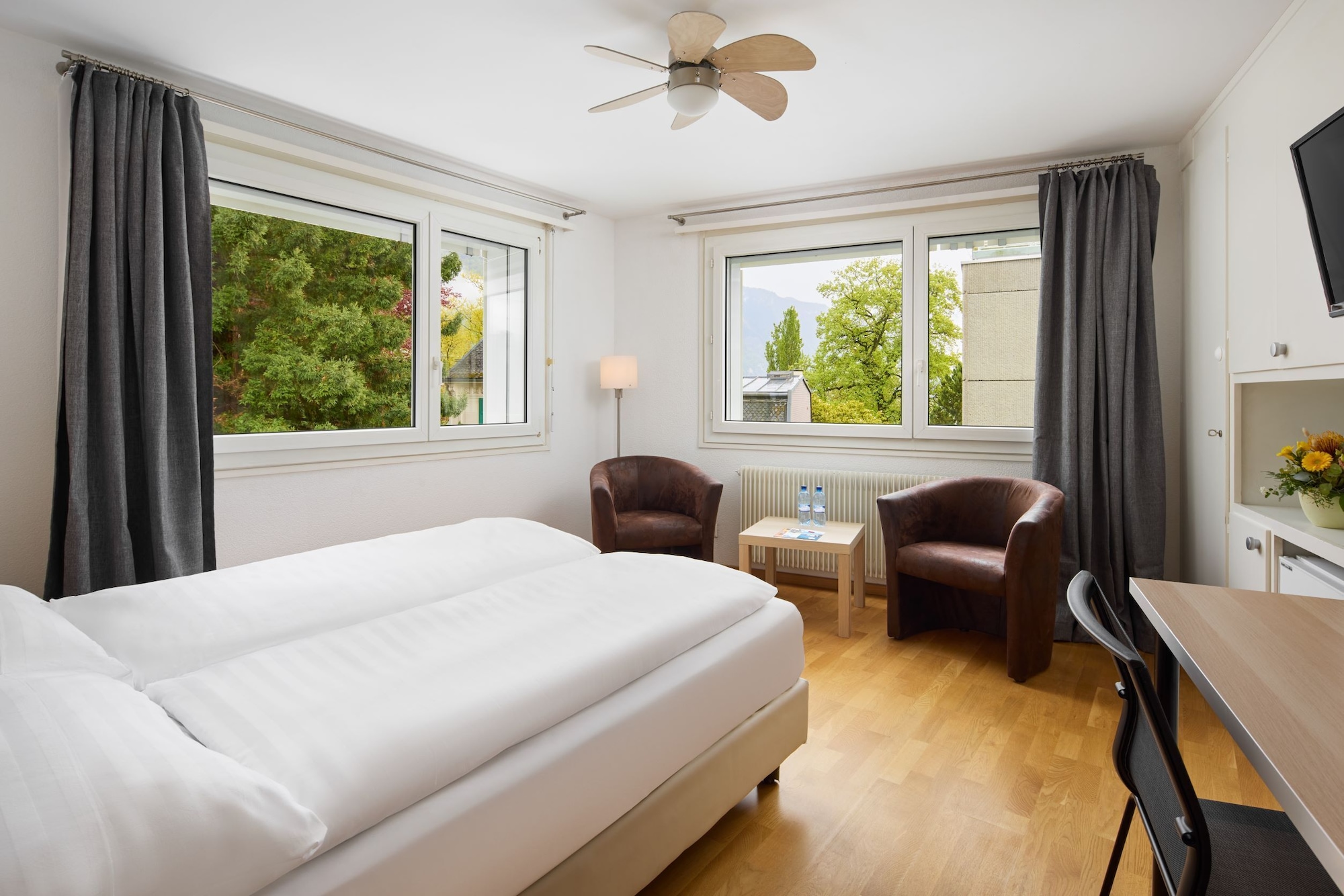 Room, Queen Bed