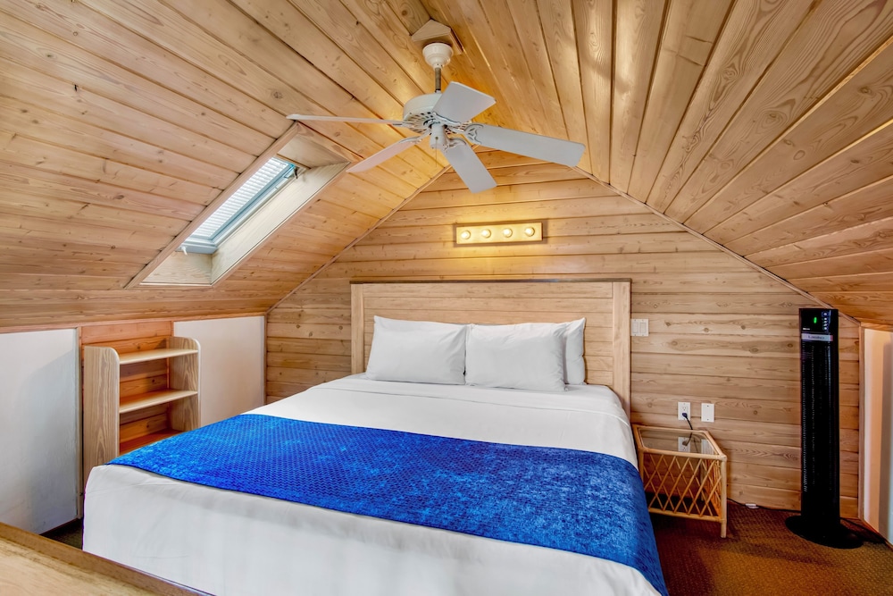 LOFT, DELUXE