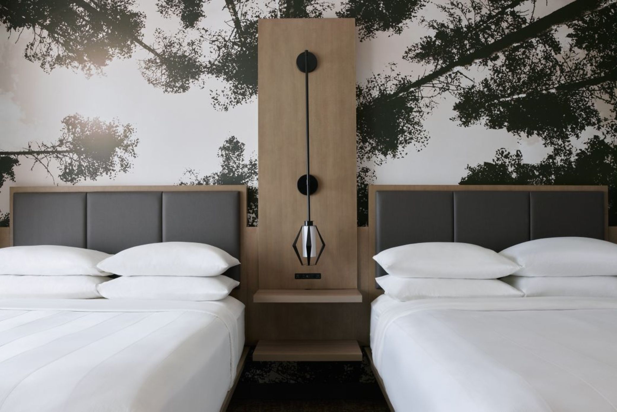 Room at Marriott Denver South At Park Meadows, LONE TREE - CO