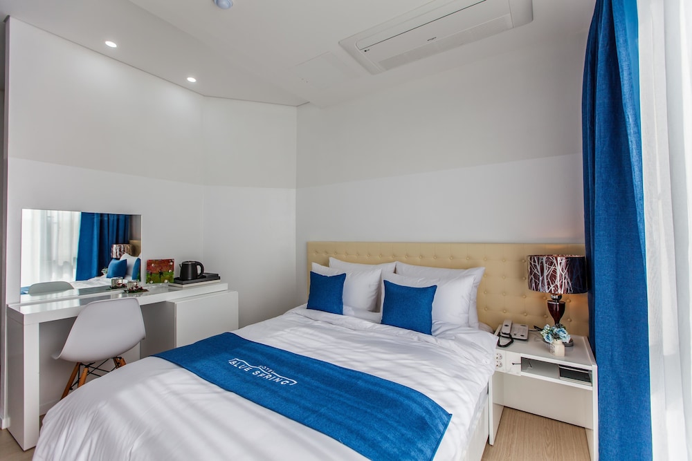 Bluespring Boutique Hotel 7/50