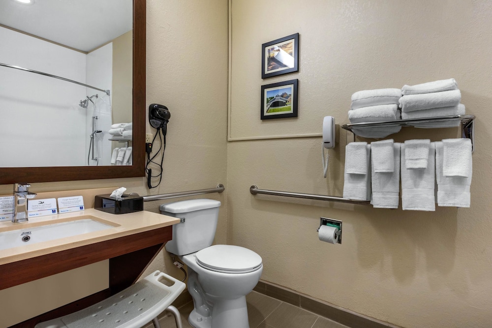 Comfort Inn and Suites Montgomery East Carmichael Rd 18/54