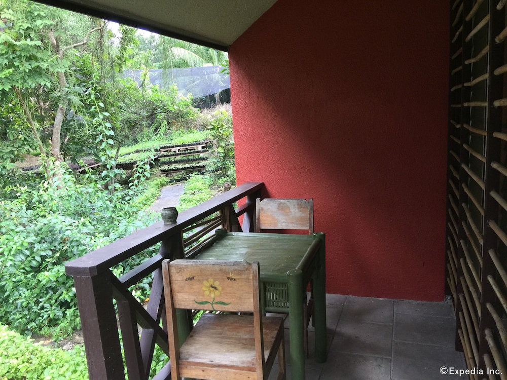 Bohol Bee Farm 2/75