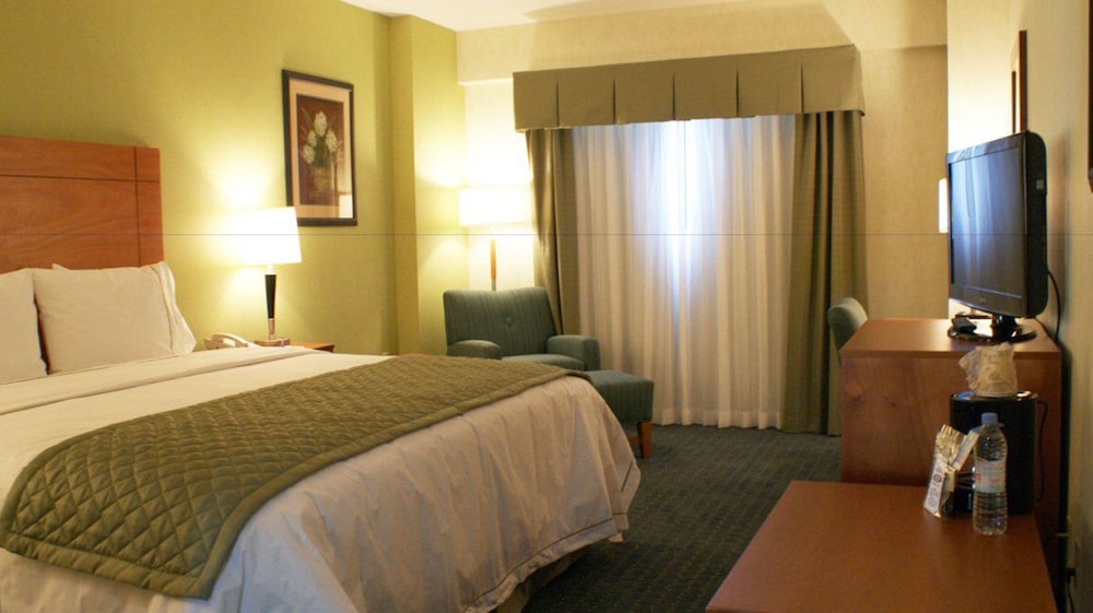 Holiday Inn Express Hotel and Suites Toluca Zona Aeropuerto 14/72