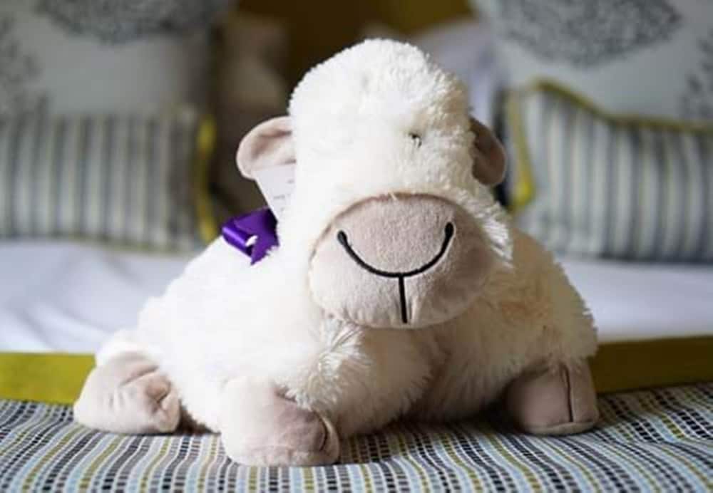 Feversham Arms Hotel Verbena Spa 42/75