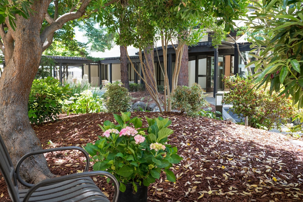 Sheraton Palo Alto Hotel 8/45