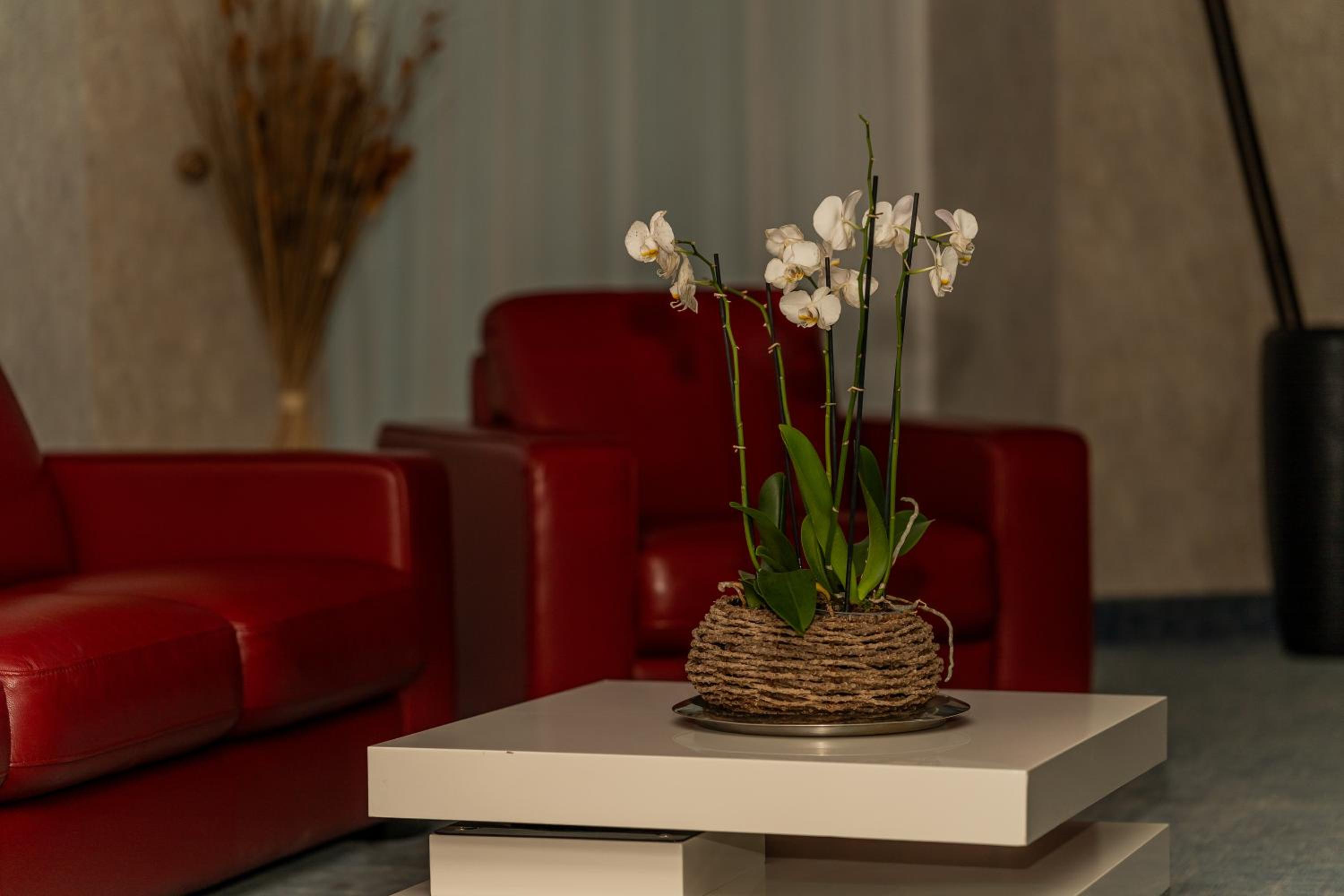 Hotel Alcor 33/50