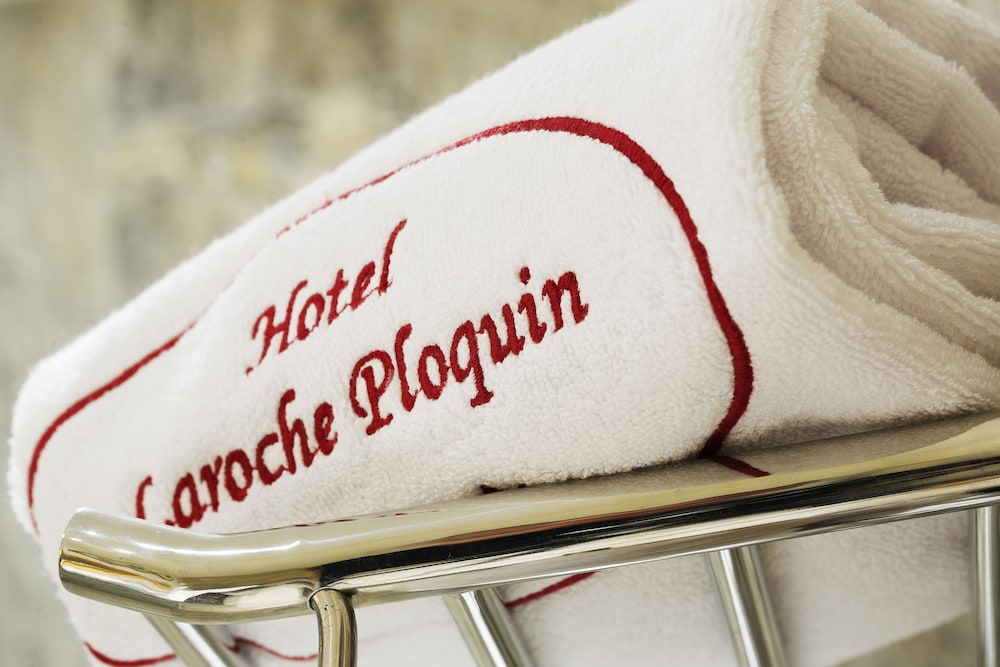 Chateau Laroche Ploquin酒店(Chateau Laroche-Ploquin) 图片5