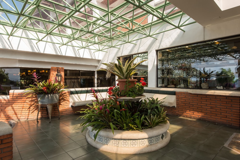 Hotel Bougainvillea San Jose 13/66