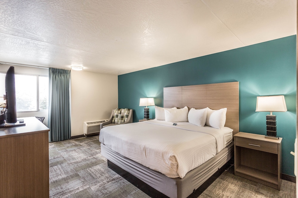 Room, King Bed, Pool View