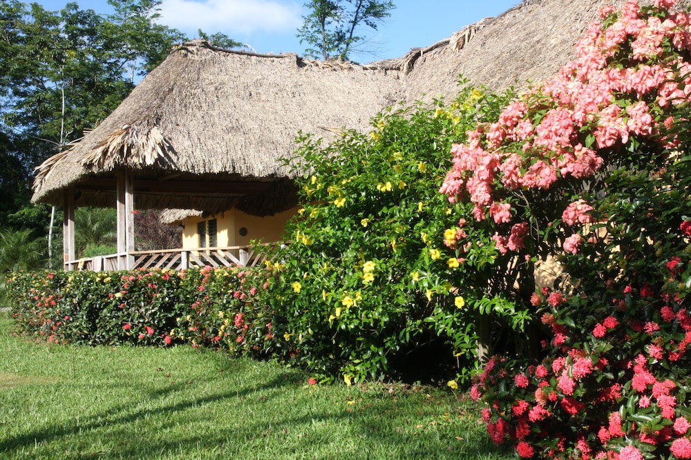Tanager RainForest Lodge 56/64