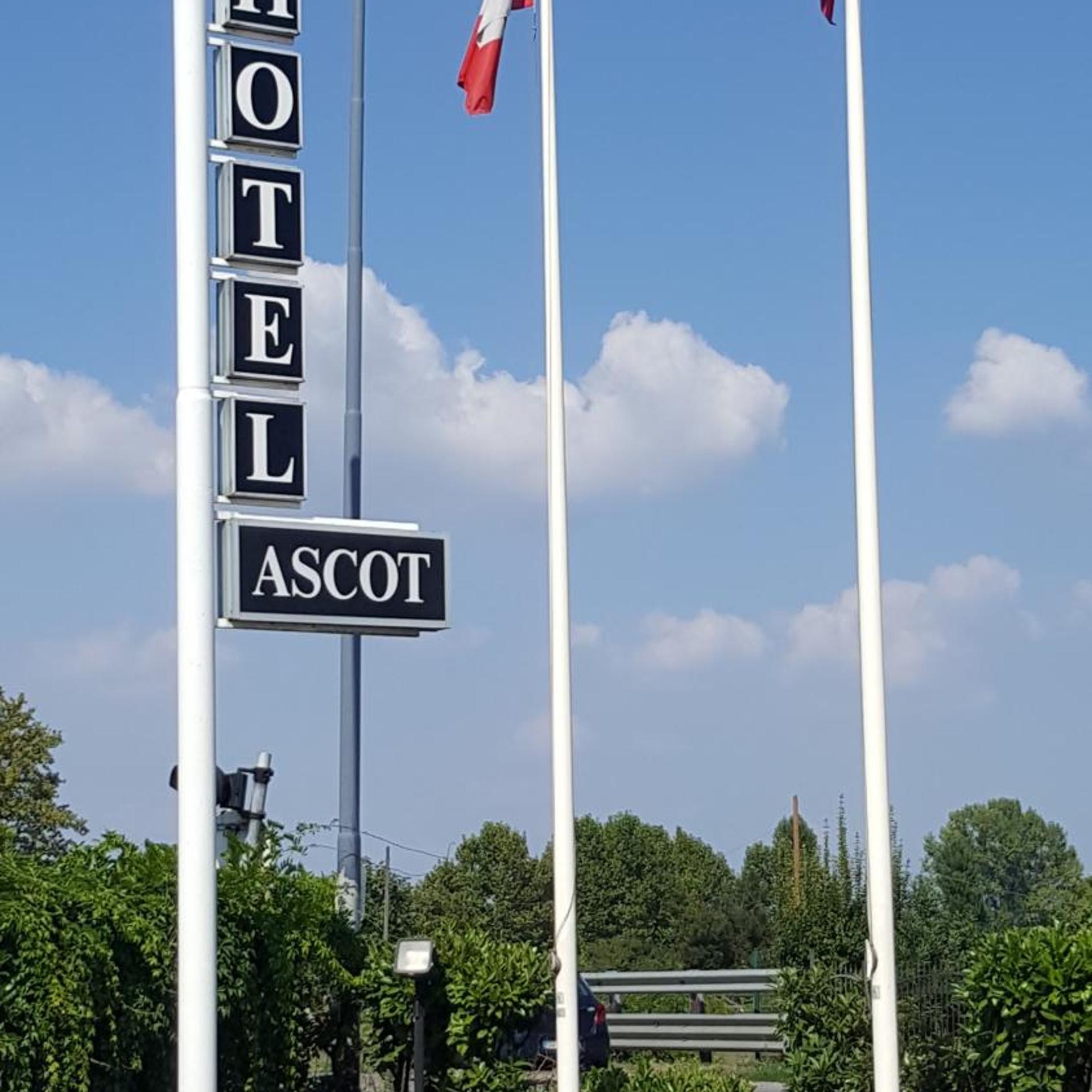 Ascot 4/52