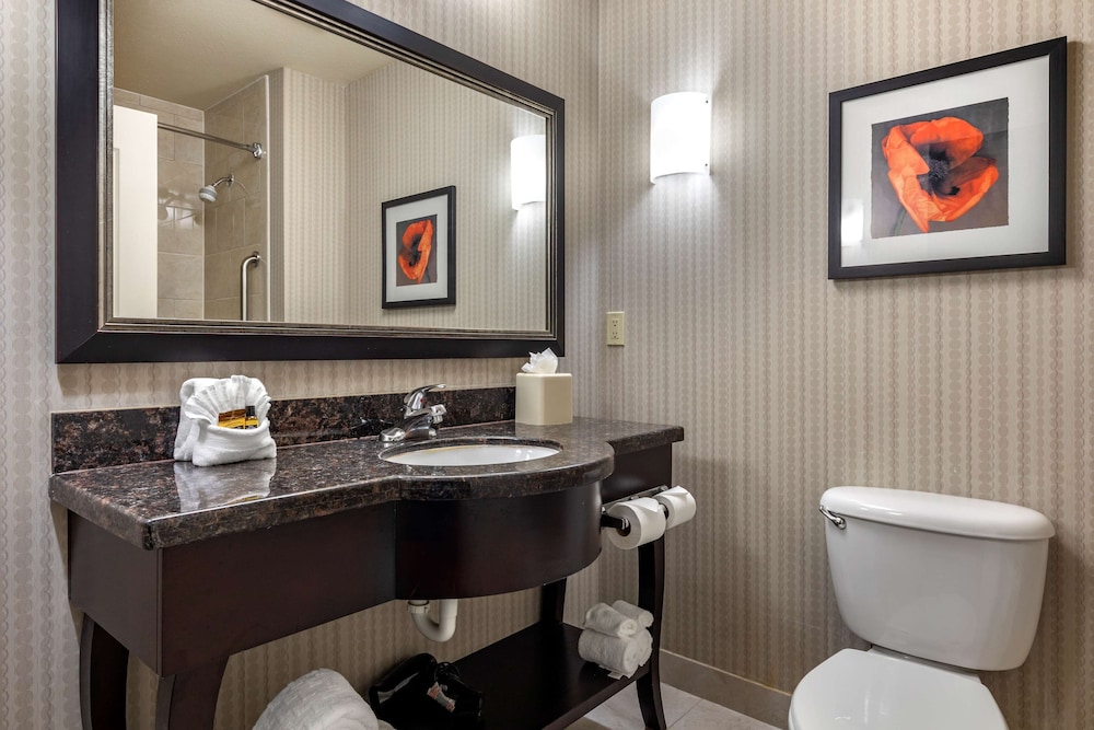 Best Western Plus Dfw Airport West Euless 27/41