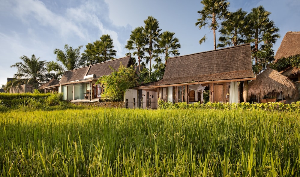 Blue Karma Dijiwa Ubud 42/50