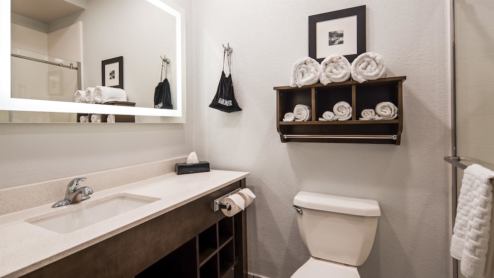 Best Western Atoka Inn And Suites 11/38