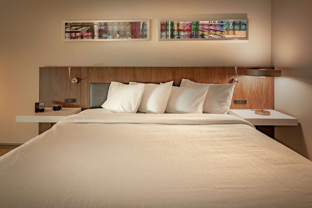 Hilton Garden Inn Dallas At Hurst Conference Center 22/53