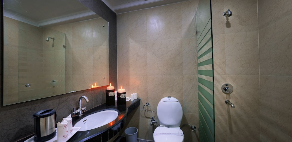 Royale Sarovar Portico Agra 36/65