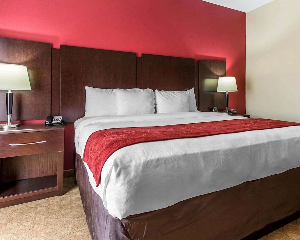 Comfort Suites Stockbridge Atlanta South 12/39