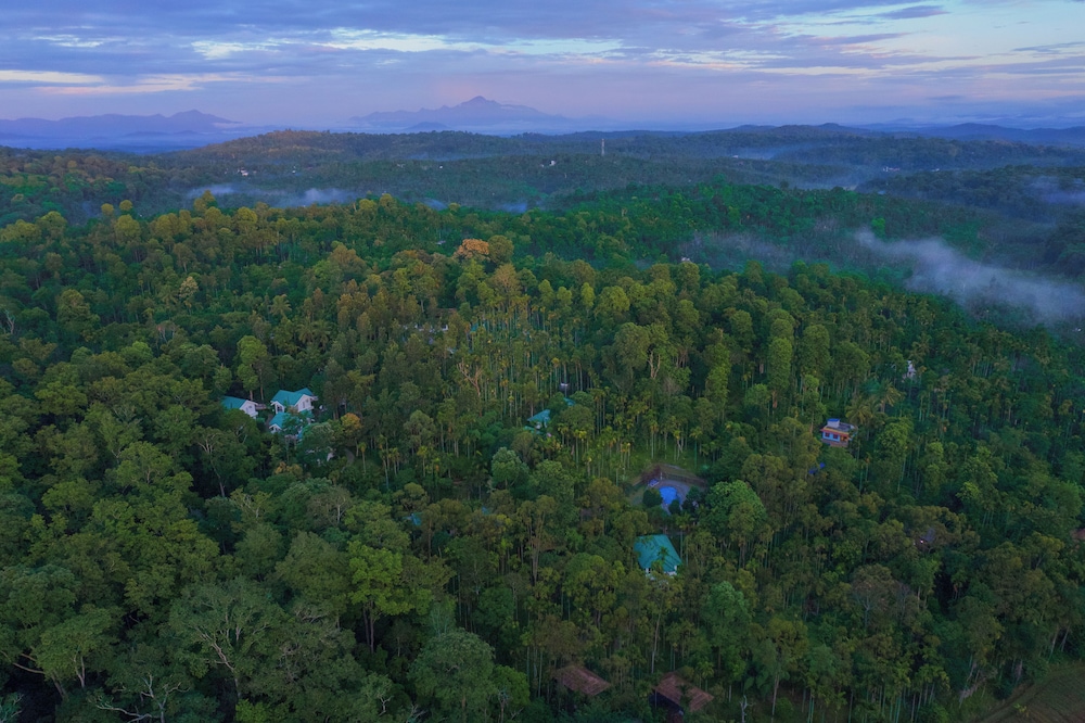 The Woods Resort 43/48