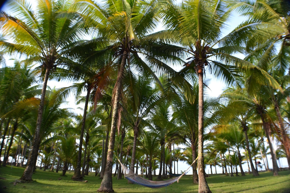 La Isla Hotel 29/35