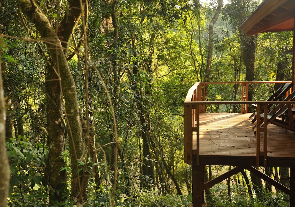 Mocona Virgin Lodge By Don 8/36