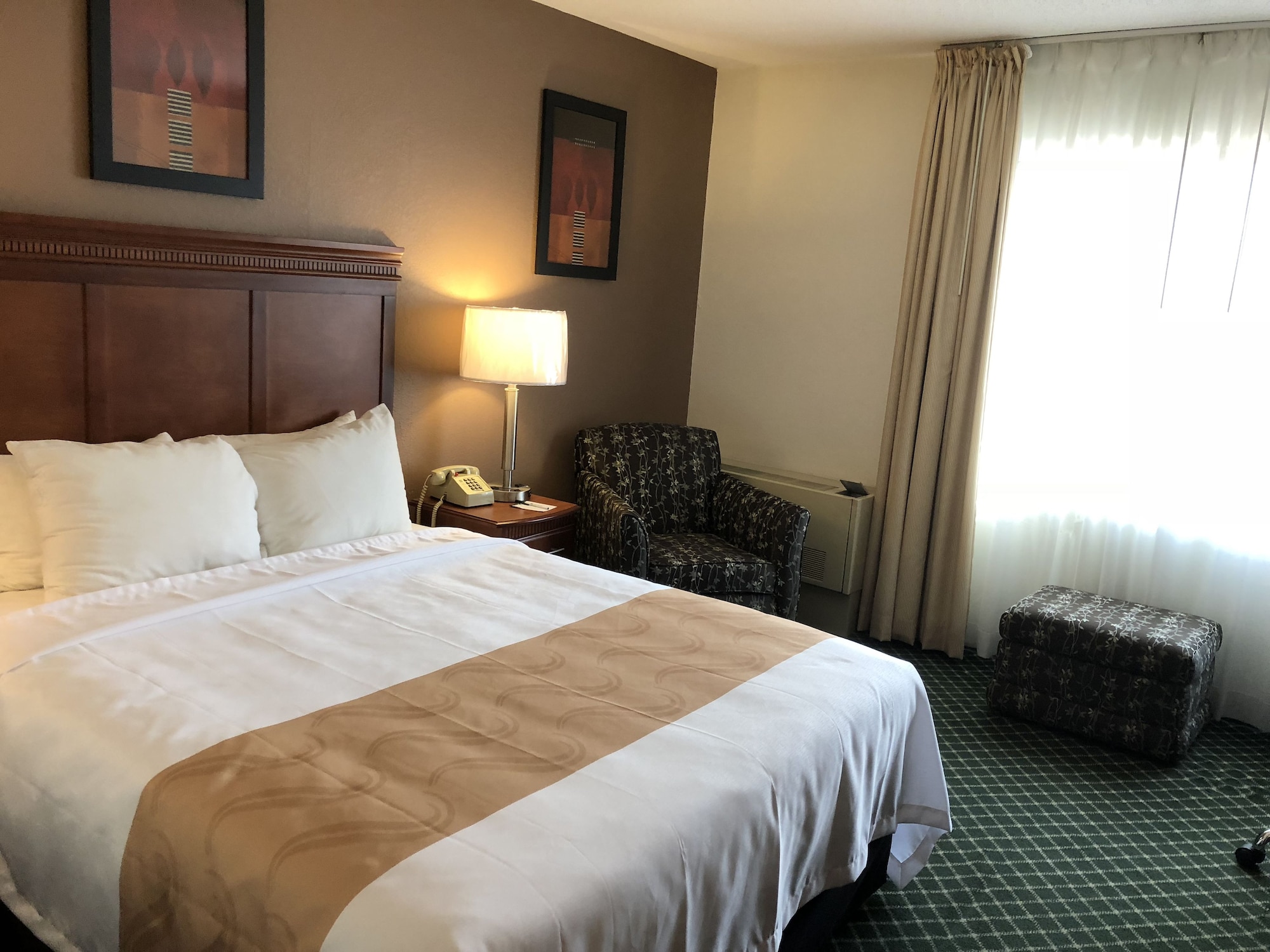 Room, Queen Bed, Accessible