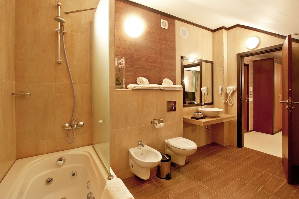 Best Western Plus Bristol Hotel 15/41