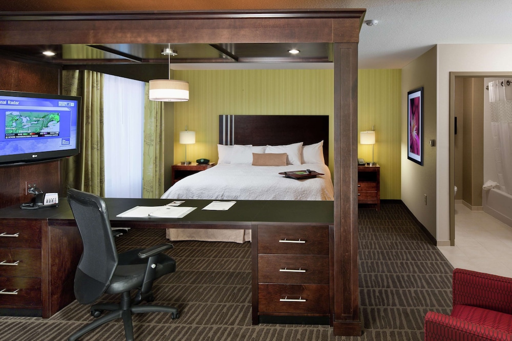 Hampton Inn And Suites Saginaw 42/45
