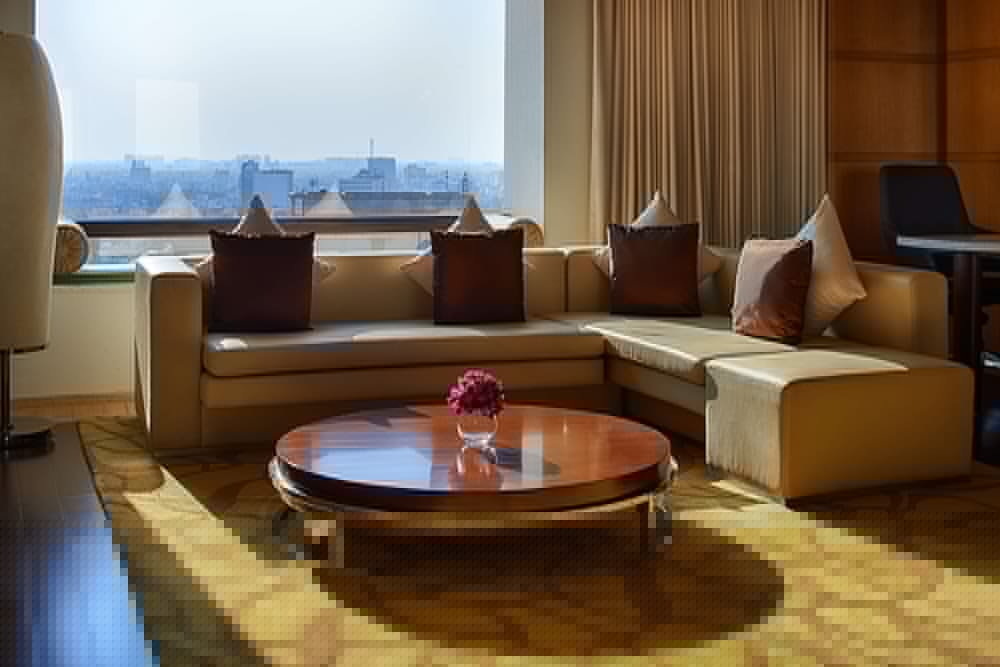 Hyatt Regency Chennai 42/80
