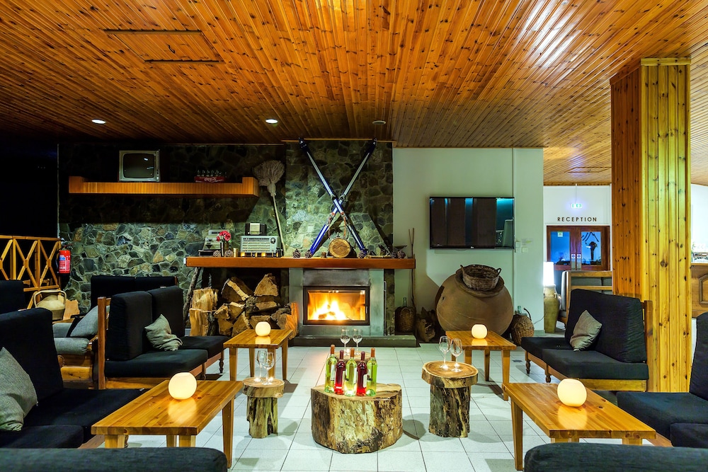 Troodos Hotel 27/50