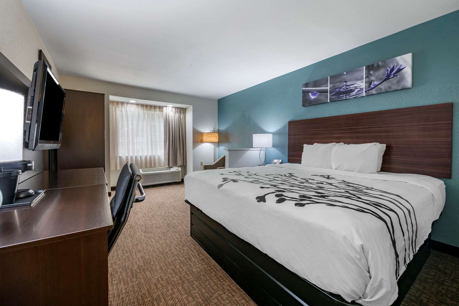Sleep Inn Jacksonville Airport 16/55