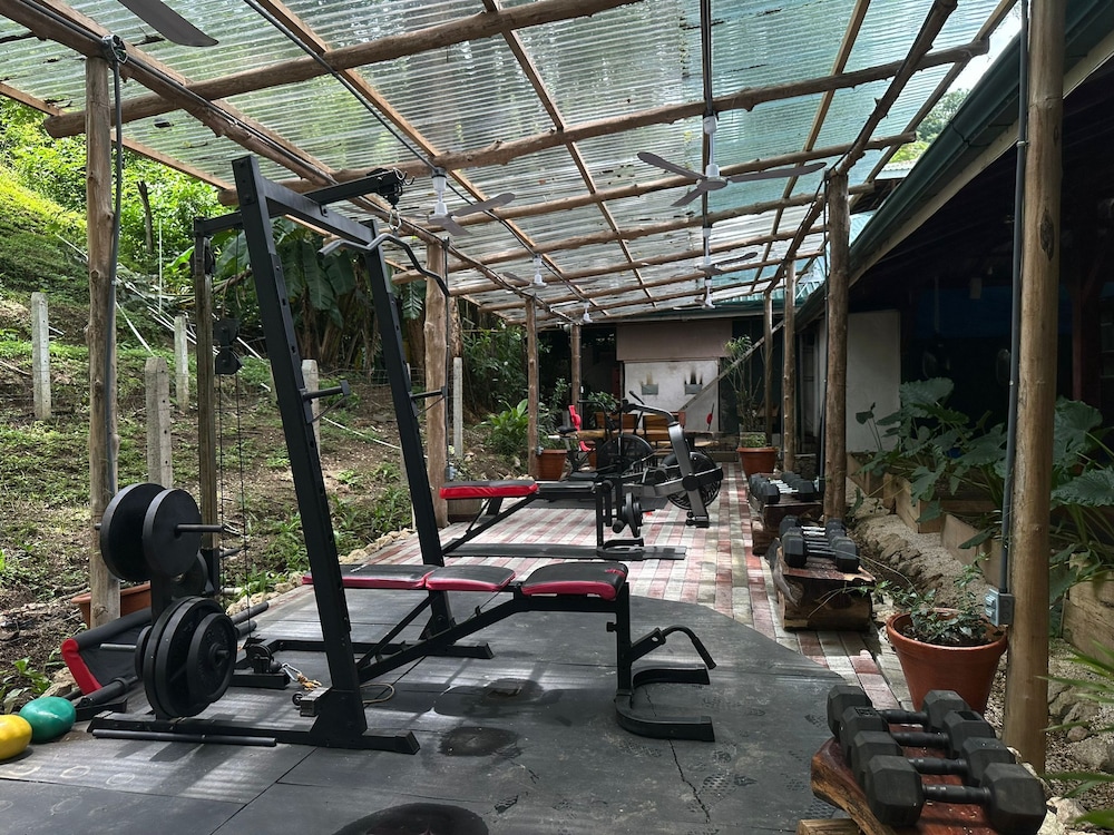 Jungles Edge 39/50