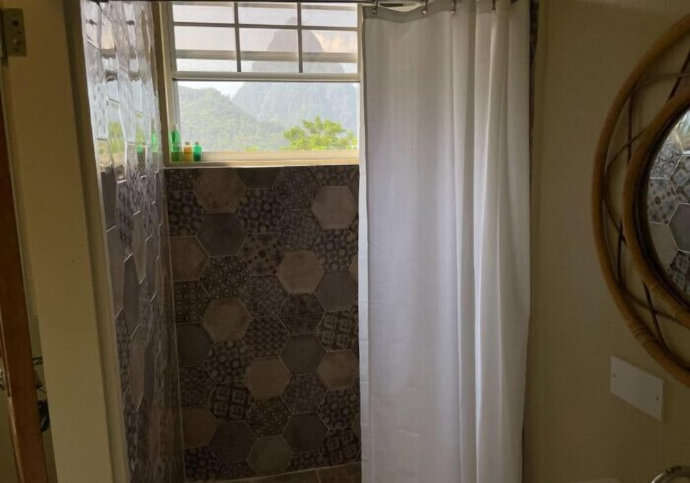 Green Fig Resort and Spa 28/60