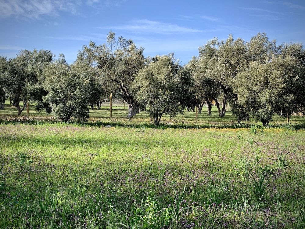 Alacati Barbarossa Hotel 24/39