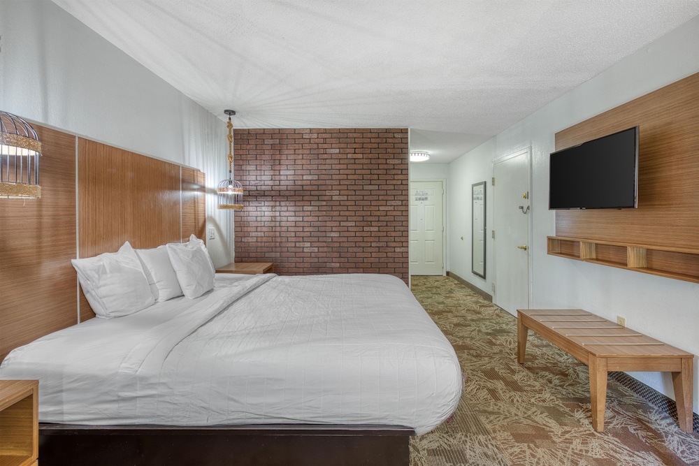 Standard, King Bed, Sofa