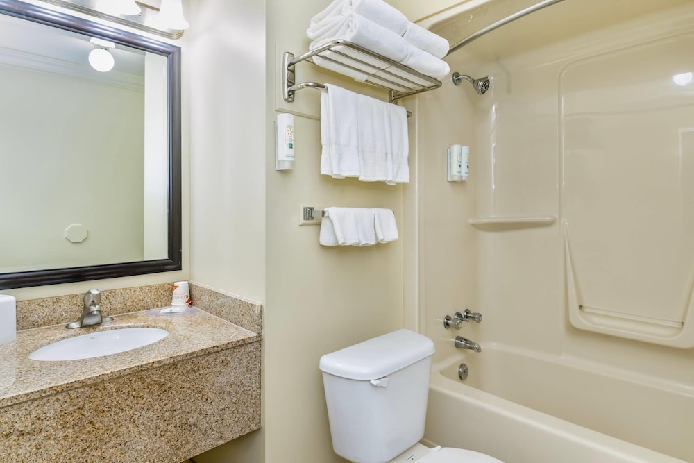 Efficiency, Suite, 1 Queen and 2 Double Beds