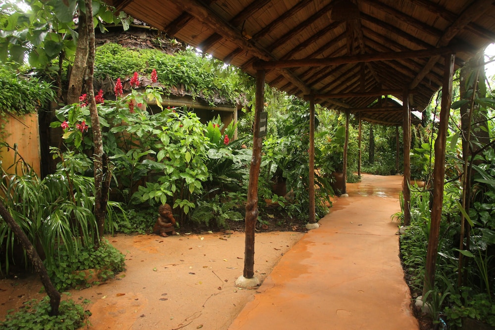 Phu Chaisai Mountain Resort 37/50