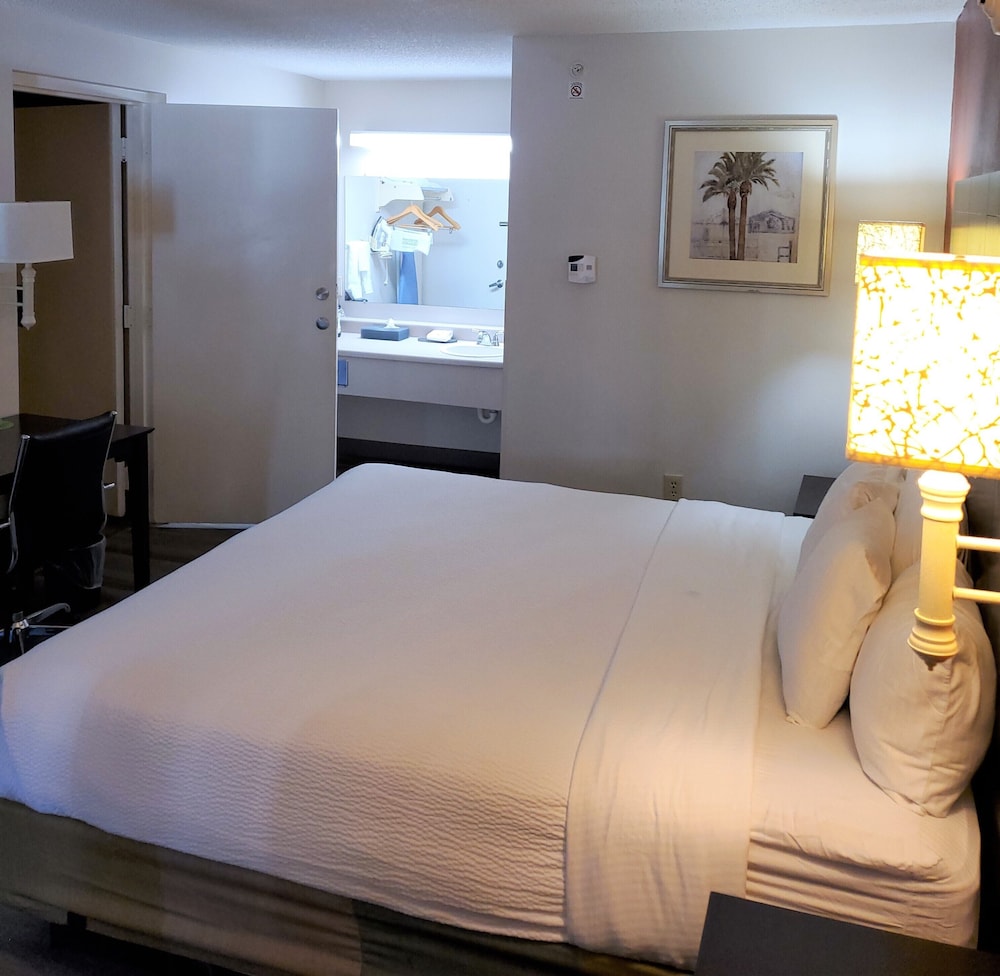 La Quinta Inn by Wyndham Tampa Near Busch Gardens 22/66