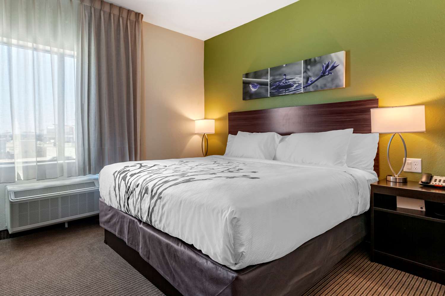 Efficiency, Suite, King Bed