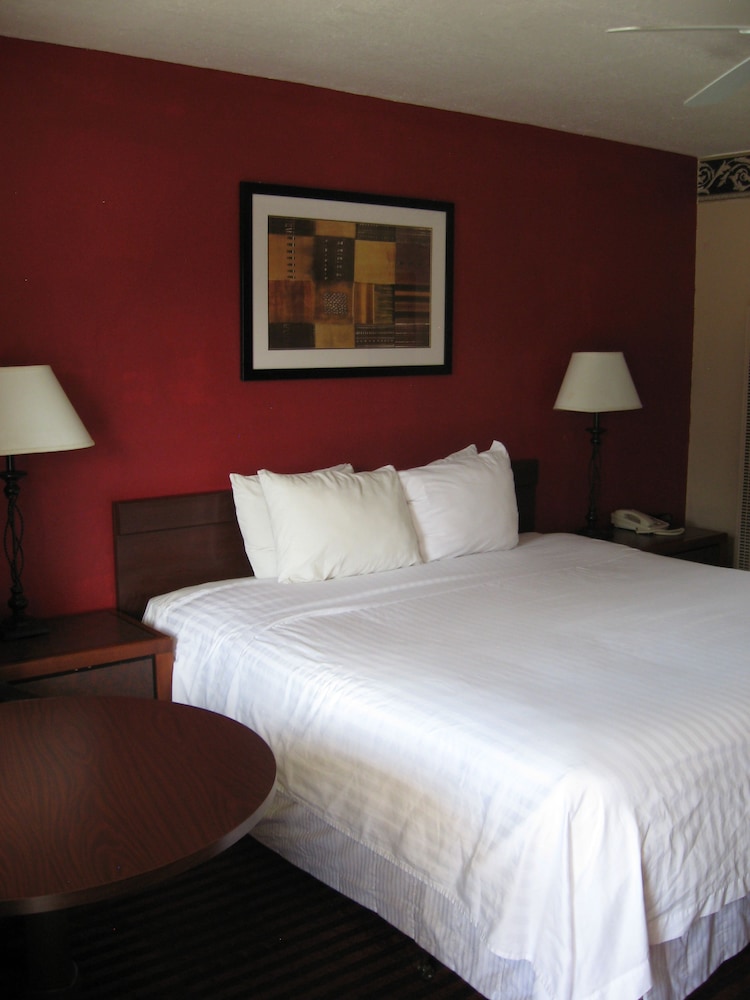 The L Motel 29/41