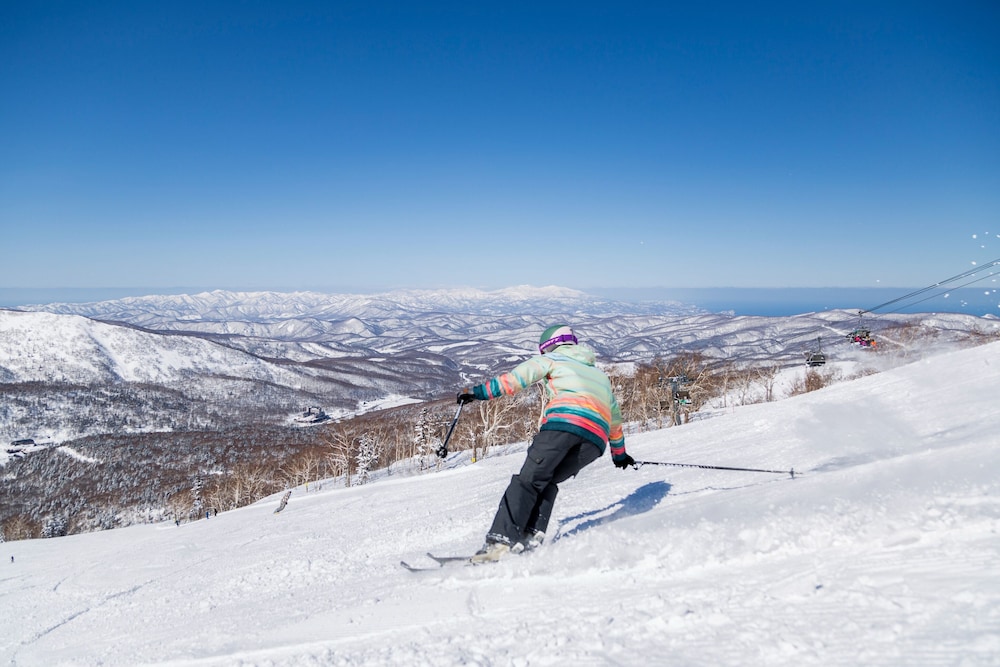 The Orchards Niseko 20/50