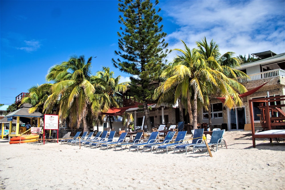 Coconut Tree West Bay 63/70