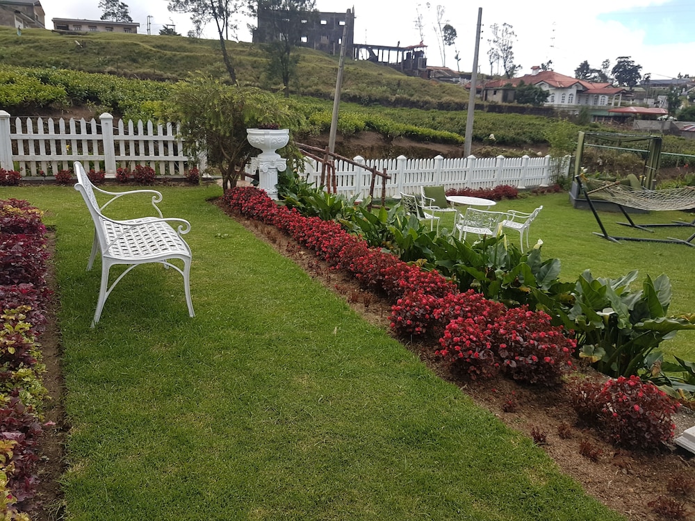 The Tea Garden 44/55