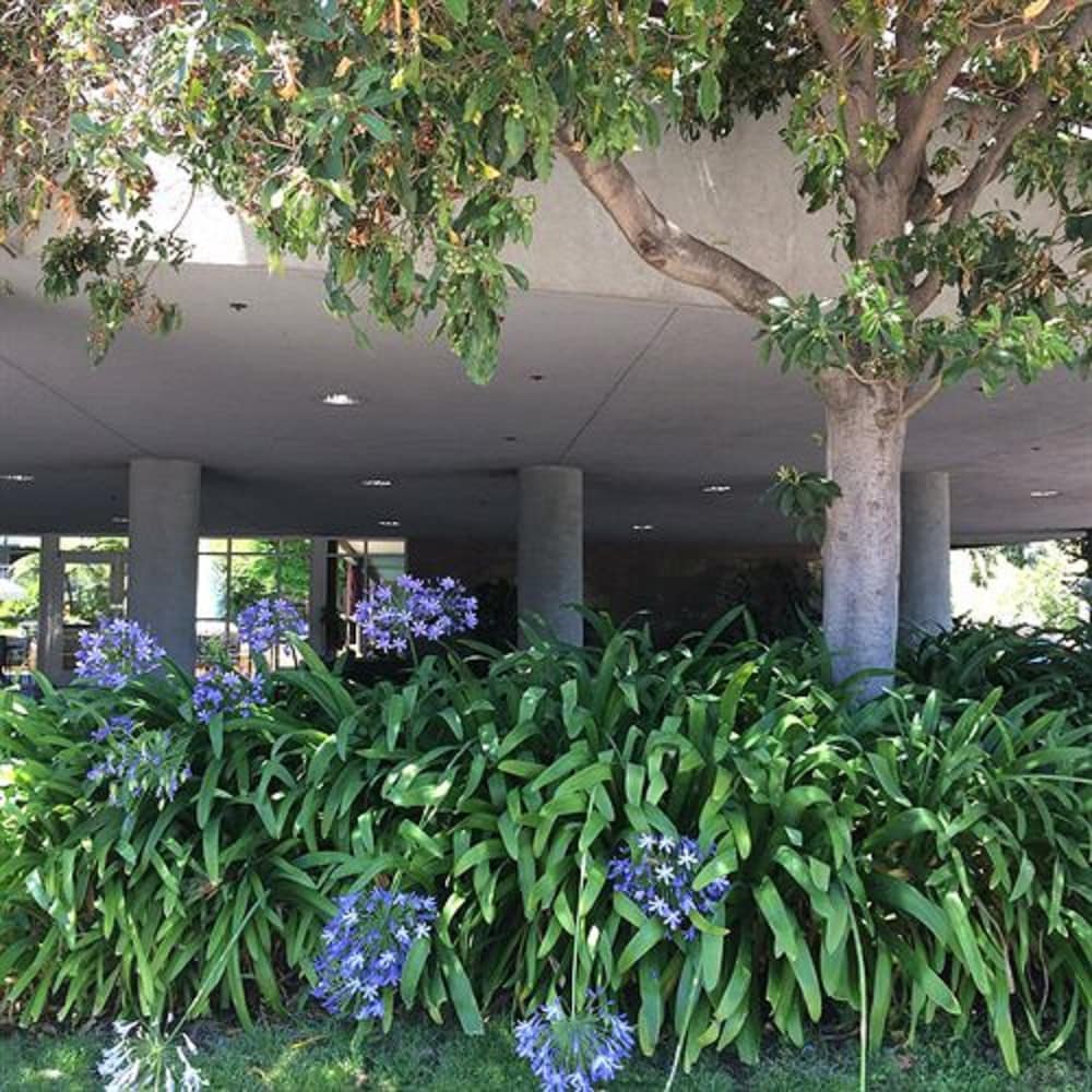 Cupertino Hotel 46/54